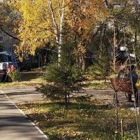 В нашем дворе... :: Людмила Фил