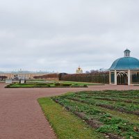 Верхний сад 2 декабря. :: Лия ☼