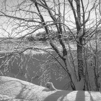 *** :: Владимир Носов