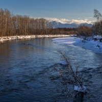 ... :: Жора Житников