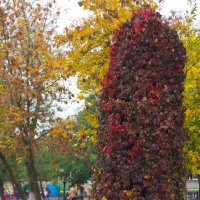 почётный караул ))) :: Всеволод