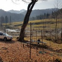 АБХАЗИЯ :: Tata Wolf