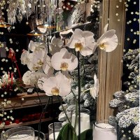 Предновогоднее волшебство! :: Нина Андронова