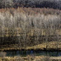 Протока :: Игорь Сикорский