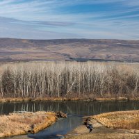 Река Кубань :: Игорь Сикорский