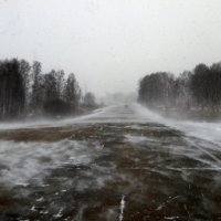 Опять зима,опять метель.... :: nadyasilyuk Вознюк