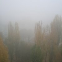 туманное утро осени :: Елена Шаламова