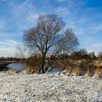 Осень в ноябре. :: Милешкин Владимир Алексеевич 