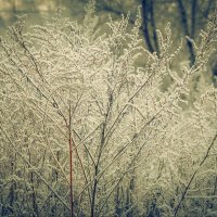 *** :: Виктор Иванович Чернюк