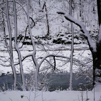 Снежный ноябрь :: Рита Симонова