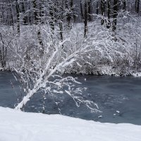 Снежный ноябрь :: Рита Симонова