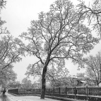 *** :: Сергей Григорьев