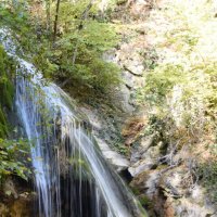 Природа Крыма :: Amazing Cosmea