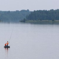 Шекснинское водохранилище :: Александр Ильчевский
