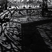 * :: Василий Палий