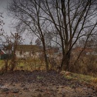 "Ни зима, ни осень. В деревне"© :: Владимир Макаров