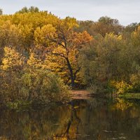 Октябрь - художник :: Сергей Фомичев