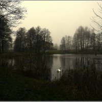 *** :: Aleksandr Gal