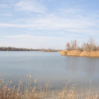 **** :: Виктор 