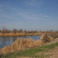 *** :: Виктор *** :: Виктор