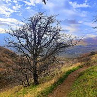 На склоне горы Южная Демерджи. :: Виктор Мухин