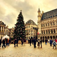 Главная новогодняя ель в Брюсселе :: Aida10 