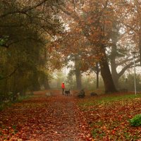Осенние прогулки :: Юрий. Шмаков