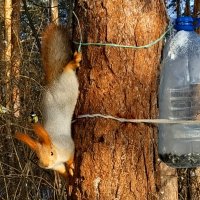 Я пришла ! Есть хочу ! :: Мила Бовкун