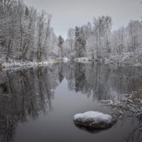 **** :: Елизавета .