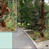 Адлер. Пансионат "Орбита" :: Нина Бутко