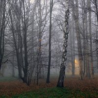 *** :: Игорь Протасов