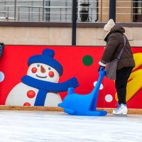 *** :: Анатолий. Chesnavik.