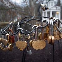 ****** :: Геннадий Порохов