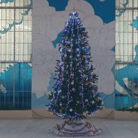 Это наша ёлка :: Дмитрий Никитин