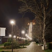 Прогулка по городу...Освещенная дорожка к ресторану... :: tatyana 