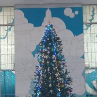 Это наша ёлка :: Дмитрий Никитин