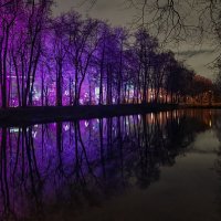 Осеннее впечатление. :: Alexandr Gunin