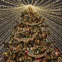 Елка :: <<< Наташа >>>