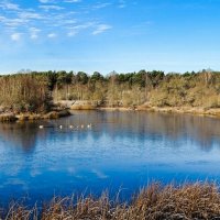 Осень в конце ноября. :: Милешкин Владимир Алексеевич 