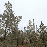 Декабрь в Караганде :: Андрей Хлопонин