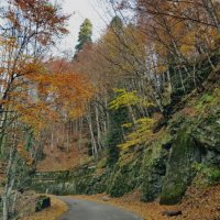 Абхазия :: Tata Wolf