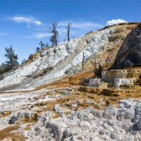 Йеллоустоун :: **** vedin