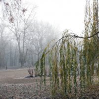 *** :: Валентина Береснева