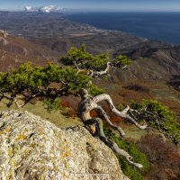 ДЕМЕРДЖИ :: Sergey Bagach