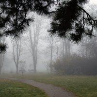 *** :: Игорь Протасов