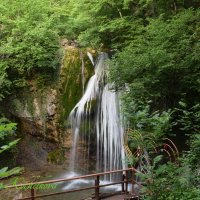 Природа Крыма :: Amazing Cosmea