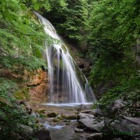 Природа Крыма :: Amazing Cosmea