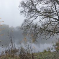 *** :: Владимир Безбородов