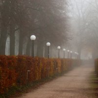 Туман окутал парк :: Юрий. Шмаков