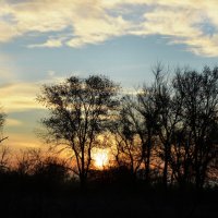 Осеннее утро... :: Надежда Куркина 